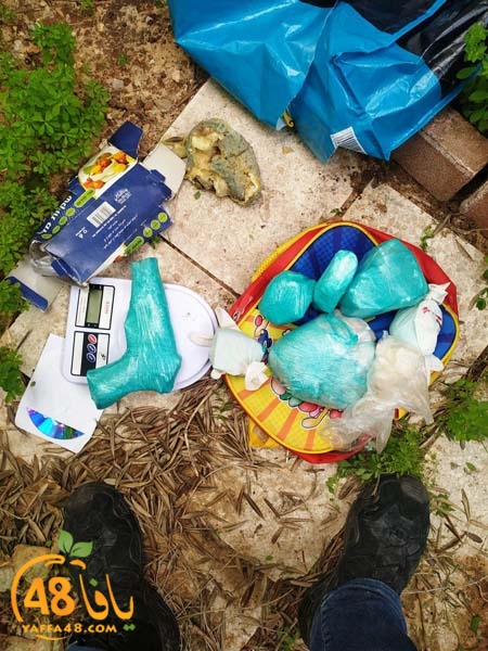 asdwqjrqweqh (3).jpg